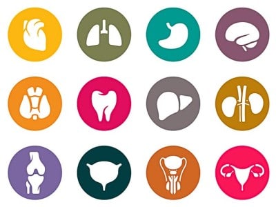 medical_icons2_color.cdr