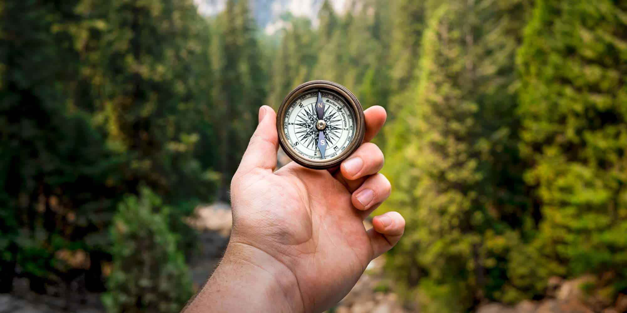 Coaching Perspektive Kompass